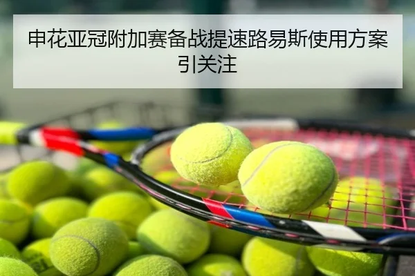 申花亚冠附加赛备战提速路易斯使用方案引关注
