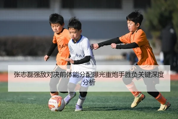 张志磊强敌对决前体能分配曝光重炮手胜负关键深度分析