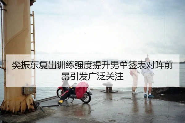 樊振东复出训练强度提升男单签表对阵前景引发广泛关注